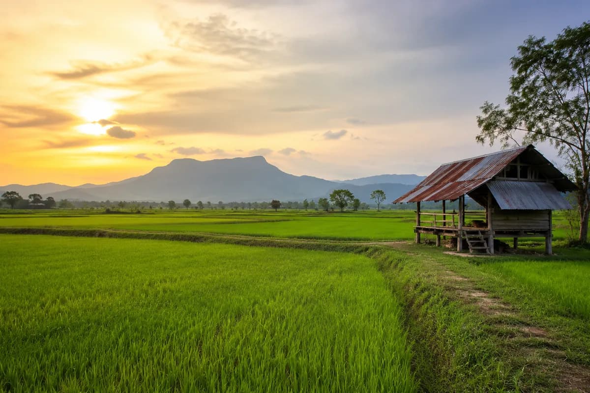 Isaan: Thailand's Northeast